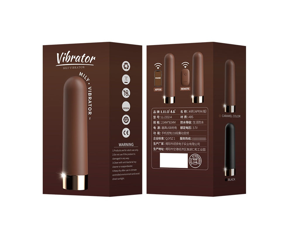 Mini Bullet Vibrator – Remote Control